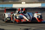 Oreca Sebring