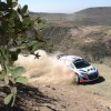 Rallye du Mexique: Double dans les points et premier podium pour le Hyundai Shell World Rally Team 11 Rallye du Mexique 2014 3