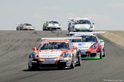 Porsche Cup 2014 Ledenon