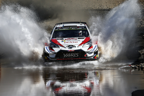 WRC 2019 Rd11 365