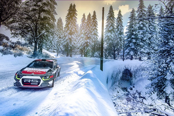 7 Dirt Rally 2 Screenshot 2020.05.20 13.35.55.14 0