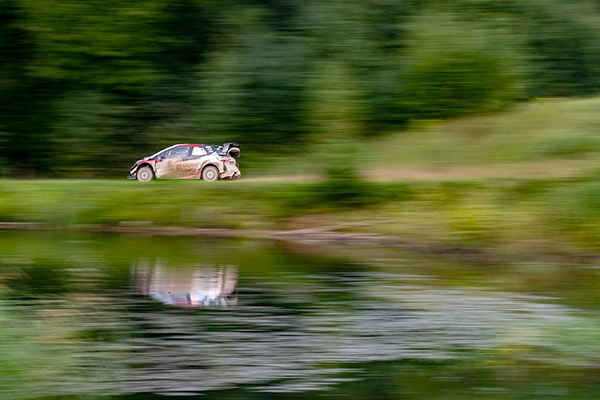 WRC ESTONIE: OTT TANACK VICTORIEUX DANS SON PAYS 4 wrc Estoie Elfyn Evans jpg