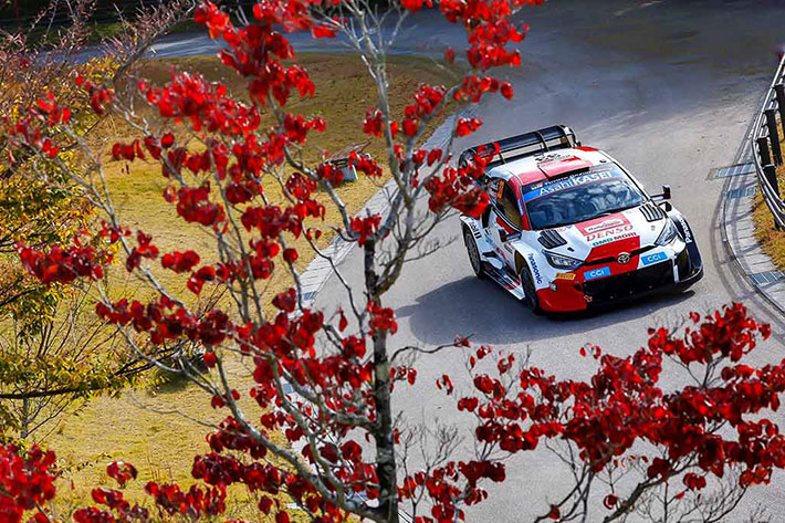 Voiture-33-(Elfyn-Evans,-Scott-Martin)