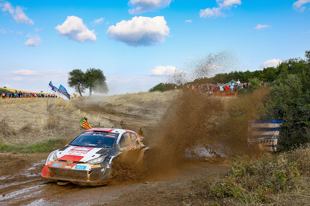 Voiture 17 (Sébastien Ogier, Vincent Landais)