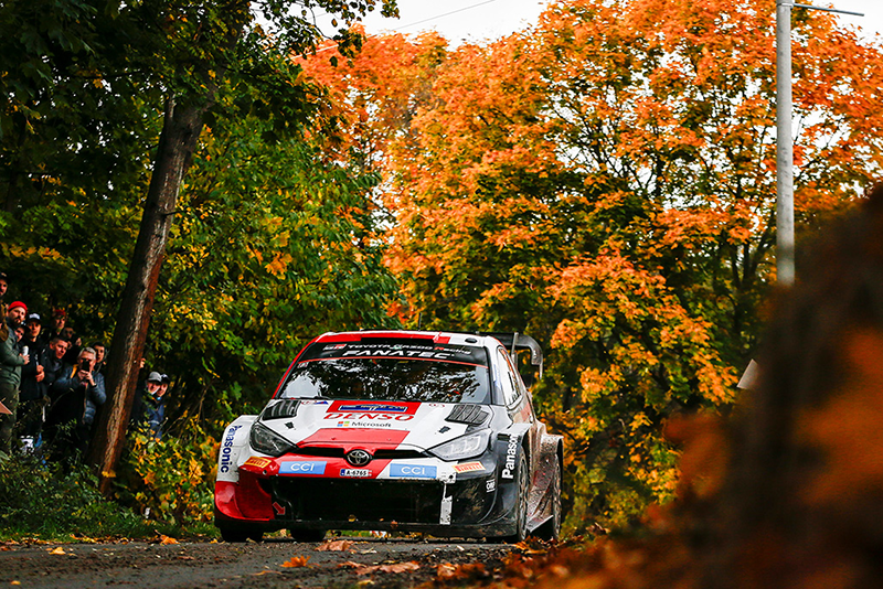 ROVANPERA LEADER DU RALLYE D'EUROPE CENTRALE, OGIER S'AGACE 2 Voiture 17 (Sébastien Ogier, Vincent Landais)