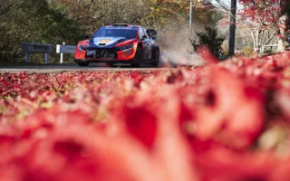 Thierry Neuville copie