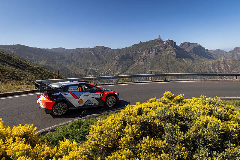 Rallye des Canaries : Rovanperä intouchable, Toyota règne en maître 4 Thierry Neuville _ Martijn Wydaeghe