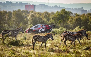 Safari Rally : Ogier et Solberg dans un mouchoir de poche, le Kenya ne fait aucun cadeau !