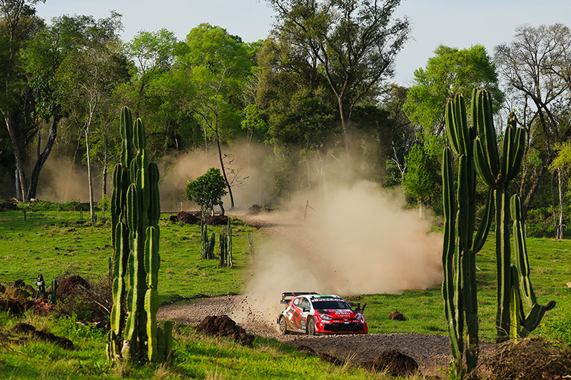 Elfyn Evans dans une spéciale derrière les cactus Car 33 (Elfyn Evans, Scott Martin